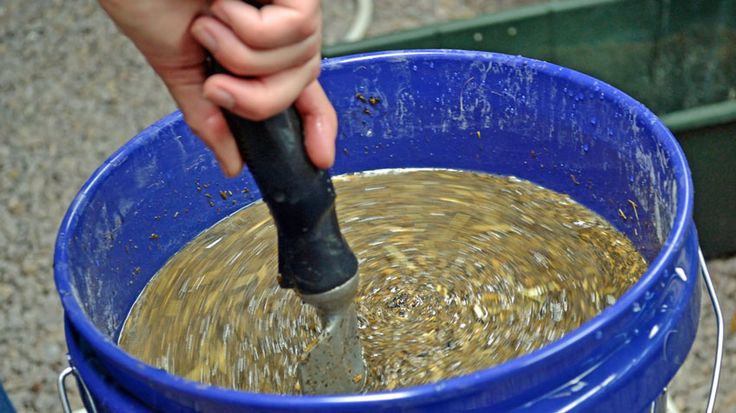sử dụng đạm cá như thế nào