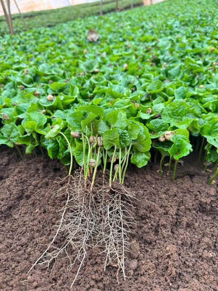 z7464541225705_c54544cec2453d54bb9fc7a7adfa548f