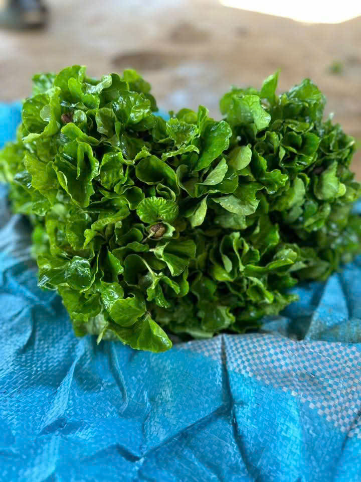 z7464541235345_8257f5d8adbdda102d959a5cdede7ea6