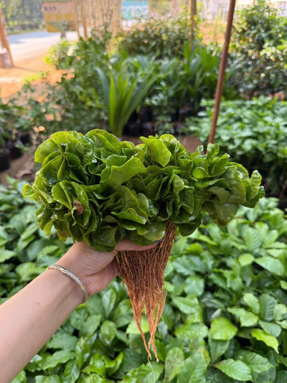 z7464541243075_c2b29c87b9e6fd538249fff50551ceb0