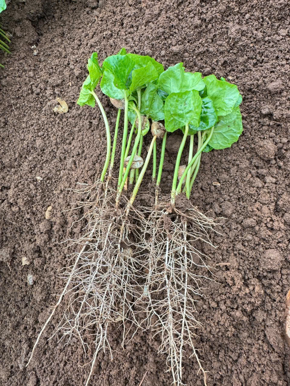 z7464541260435_ed71dbf5ceaaf536e0e52e943fd1aef3