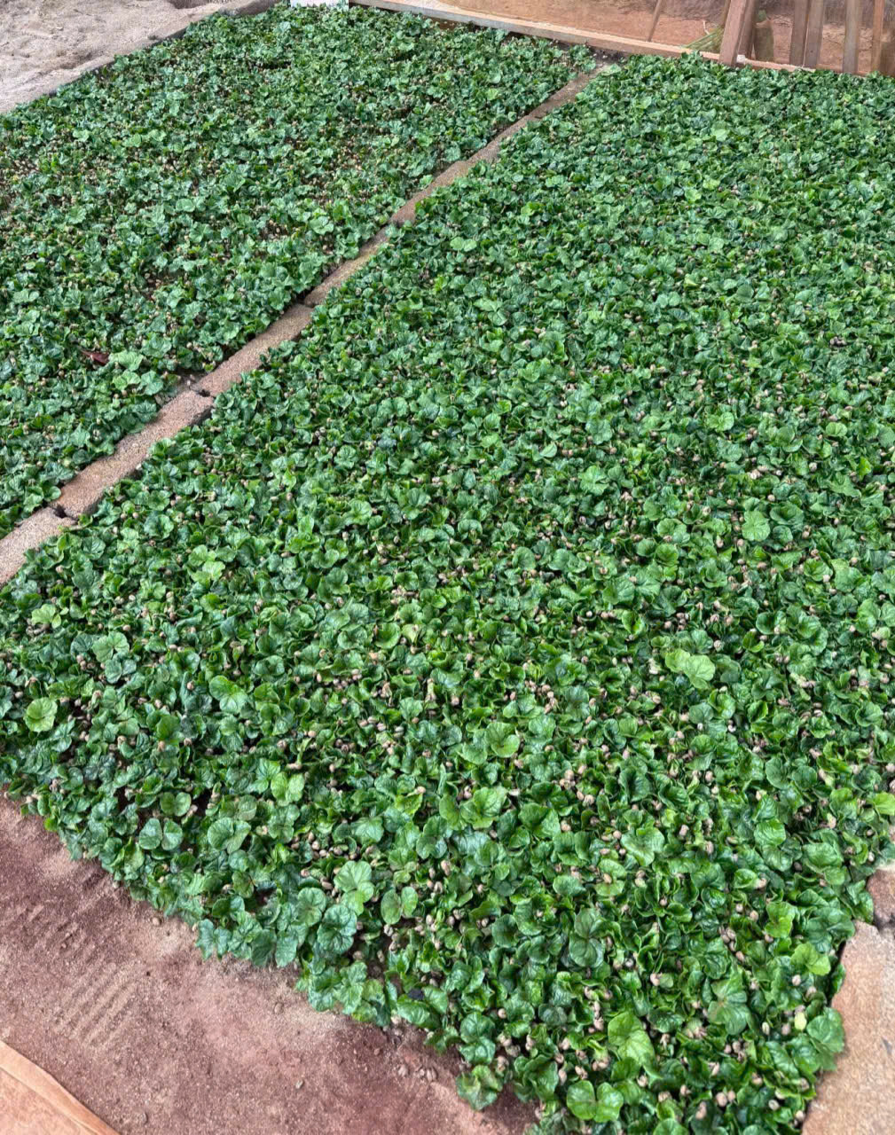 z7464541265024_07273b88243572b03d5e9f61a90e70de